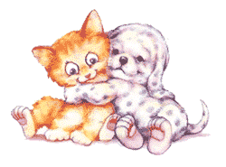 a kitten and a puppy hugging 